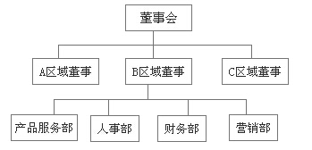 2015注会《战略》预习知识点:事业部制组织结构及其举例